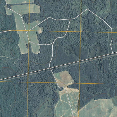 Arlington, GA (2011, 24000-Scale) Preview 3