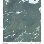 Billys Island, GA (2011, 24000-Scale) Preview 1