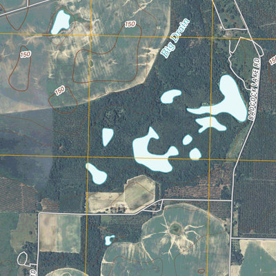 Boykin, GA (2011, 24000-Scale) Preview 3
