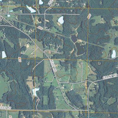 Brooks, GA (2011, 24000-Scale) Preview 2