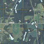 Cairo South, GA (2011, 24000-Scale) Preview 2