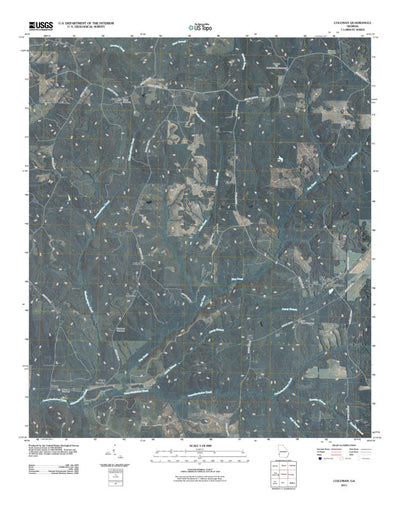 Coleman, GA (2011, 24000-Scale) Preview 1