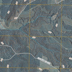 Columbia NE, GA-AL (2011, 24000-Scale) Preview 3