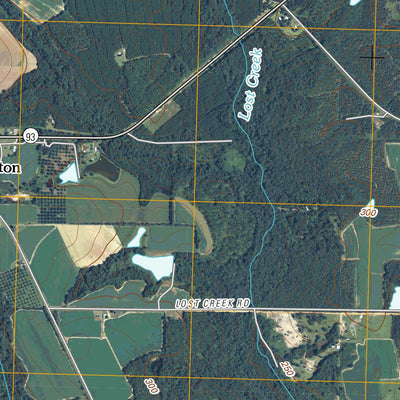 Cotton, GA (2011, 24000-Scale) Preview 3