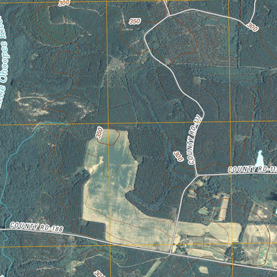 Davisboro SE, GA (2011, 24000-Scale) Preview 3