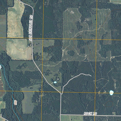 Donalsonville NE, GA (2011, 24000-Scale) Preview 2