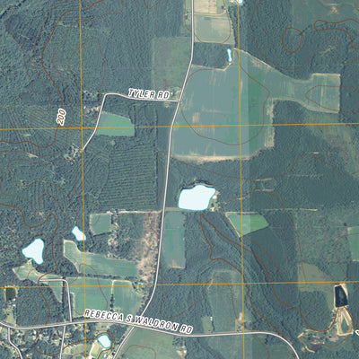 Douglas South, GA (2011, 24000-Scale) Preview 2