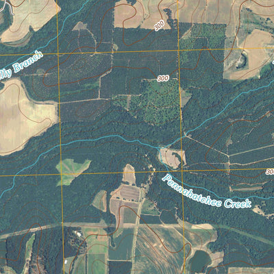 Drayton, GA (2011, 24000-Scale) Preview 3