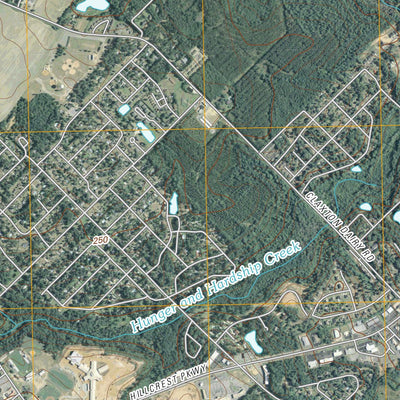 Dublin, GA (2011, 24000-Scale) Preview 2