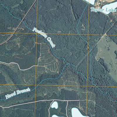 Edison, GA (2011, 24000-Scale) Preview 3