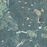 Greensboro, GA (2011, 24000-Scale) Preview 3