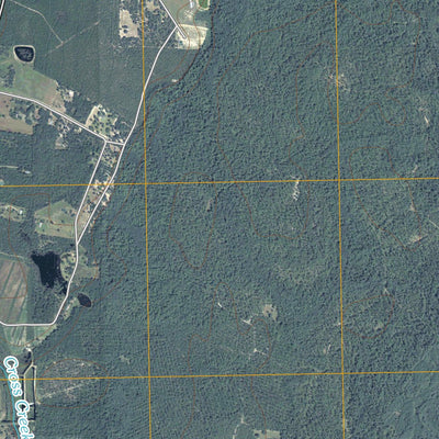 Hastings Fish Pond, GA (2011, 24000-Scale) Preview 3