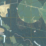 Hilltonia, GA (2011, 24000-Scale) Preview 2