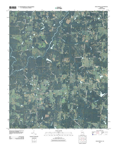 Hollonville, GA (2011, 24000-Scale) Preview 1
