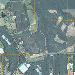 Lakeland, GA (2011, 24000-Scale) Preview 2