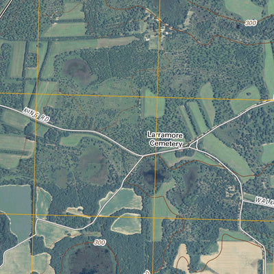 Leslie SE, GA (2011, 24000-Scale) Preview 3