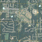 Nebo, GA (2011, 24000-Scale) Preview 3