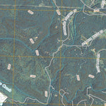 Nelson, GA (2011, 24000-Scale) Preview 2