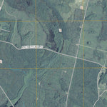 Newell, GA (2011, 24000-Scale) Preview 2