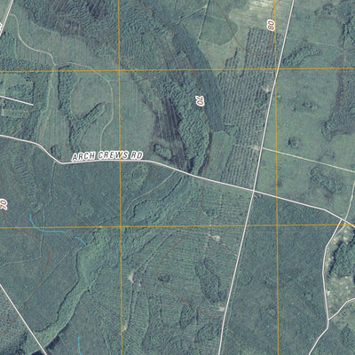 Newell, GA (2011, 24000-Scale) Preview 2
