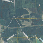Nicholls, GA (2011, 24000-Scale) Preview 3