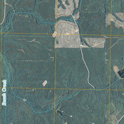 Odessadale, GA (2011, 24000-Scale) Preview 2