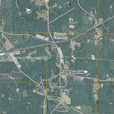 Odessadale, GA (2011, 24000-Scale) Preview 3