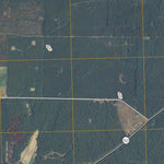 Pineview SW, GA (2011, 24000-Scale) Preview 2