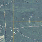 Riceboro, GA (2011, 24000-Scale) Preview 2
