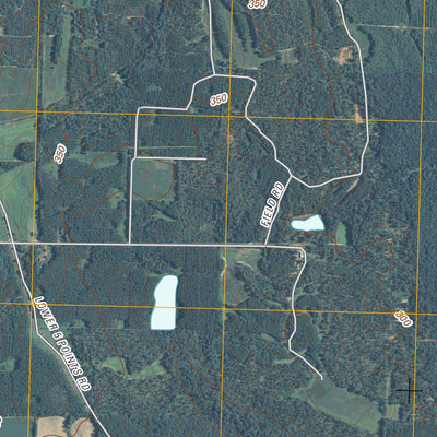 Smithville East, GA (2011, 24000-Scale) Preview 3