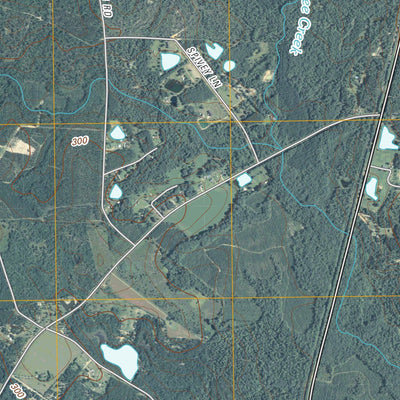 Summertown, GA (2011, 24000-Scale) Preview 2