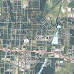 Sylvester, GA (2011, 24000-Scale) Preview 3