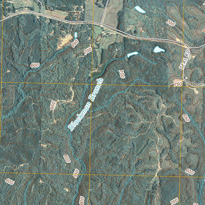 Talbotton, GA (2011, 24000-Scale) Preview 3