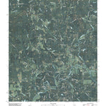 Tallapoosa North, GA-AL (2011, 24000-Scale) Preview 1