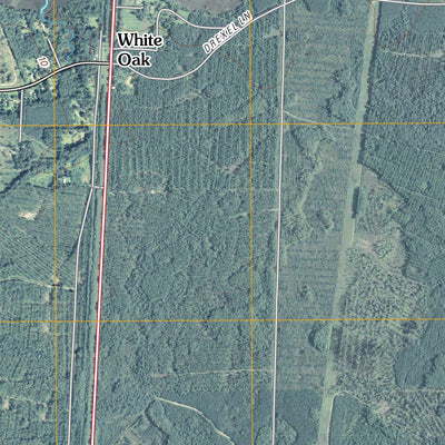 Waverly, GA (2011, 24000-Scale) Preview 3
