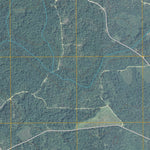 Willie, GA (2011, 24000-Scale) Preview 2