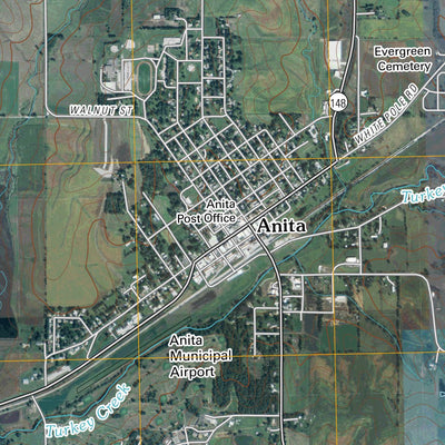 Anita, IA (2010, 24000-Scale) Preview 3