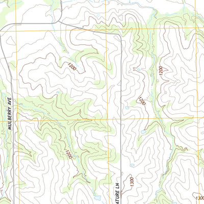 Bridgewater, IA (2013, 24000-Scale) Preview 3