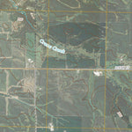 Muscatine NW, IA (2010, 24000-Scale) Preview 2
