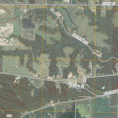 Muscatine NW, IA (2010, 24000-Scale) Preview 3