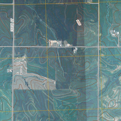 Ricketts, IA (2010, 24000-Scale) Preview 2