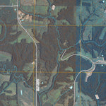 Selma, IA (2010, 24000-Scale) Preview 2