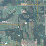 Swedesburg, IA (2010, 24000-Scale) Preview 3