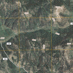 Bear Camp Gulch, ID (2011, 24000-Scale) Preview 3