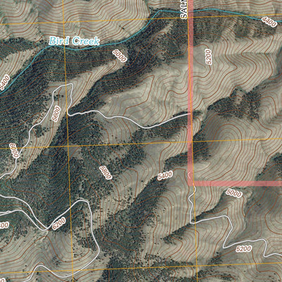 Bird Creek, ID (2011, 24000-Scale) Preview 2