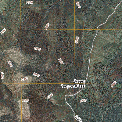 Bishop Mountain, ID (2011, 24000-Scale) Preview 3