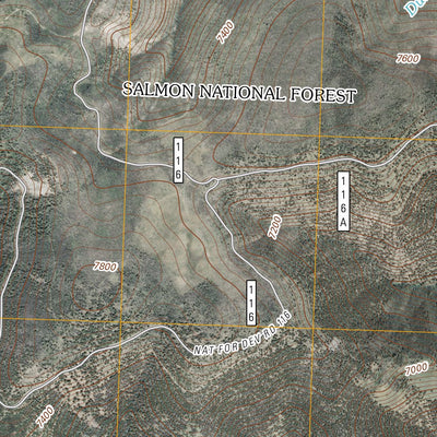Blackbird Creek, ID (2011, 24000-Scale) Preview 2