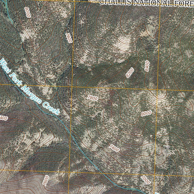 Blowfly Creek, ID (2011, 24000-Scale) Preview 3