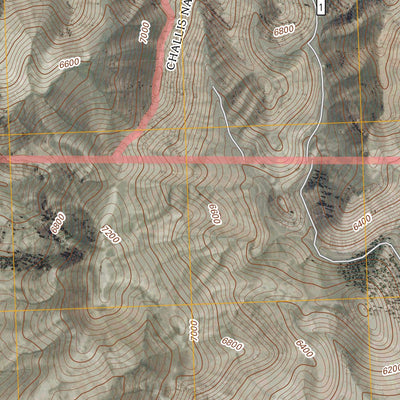Ennis Gulch, ID (2011, 24000-Scale) Preview 2