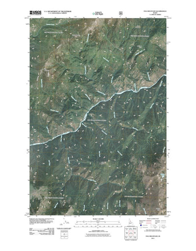 Fog Mountain, ID (2011, 24000-Scale) Preview 1